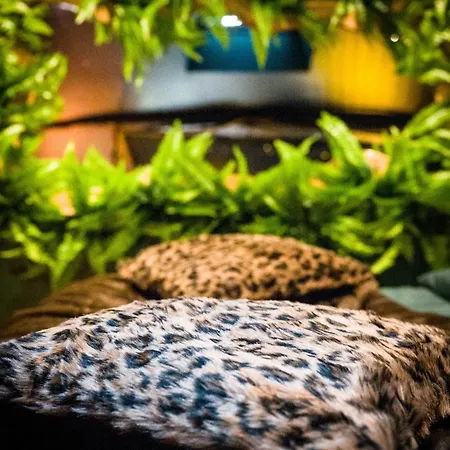 Appartement Secret Jungle - Xl Rain Shower - Cinema Bergerac