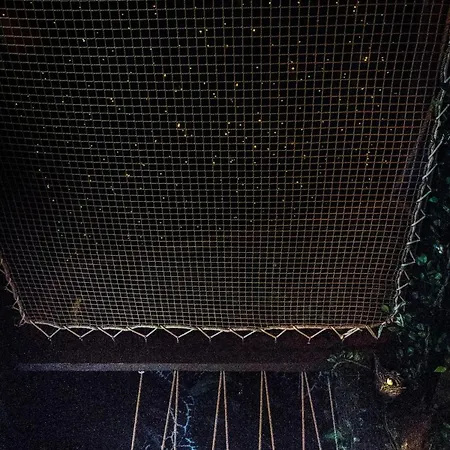 Secret Jungle - Xl Rain Shower - Cinema *