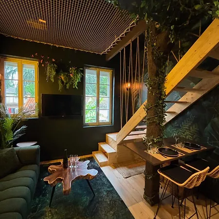 Secret Jungle - Xl Rain Shower - Cinema *